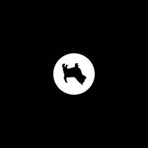 Logo_Underdog